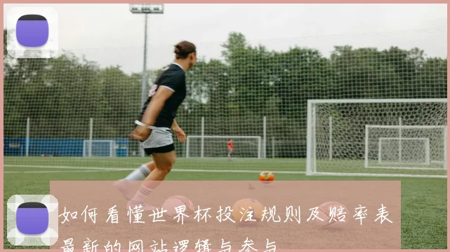 如何看懂世界杯投注规则及赔率表最新的网站逻辑与参与