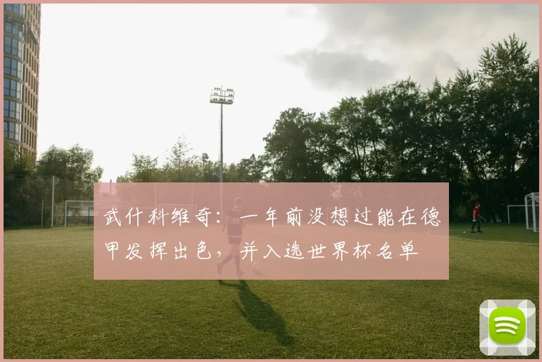 武什科维奇：一年前没想过能在德甲发挥出色，并入选世界杯名单